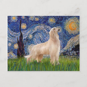 Cartão Postal Noite Estrelada - Afghan Hound (stand de creme)