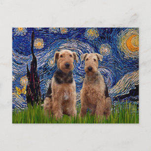Cartão Postal Noite Estrelada - Airedale Terriers (dois)