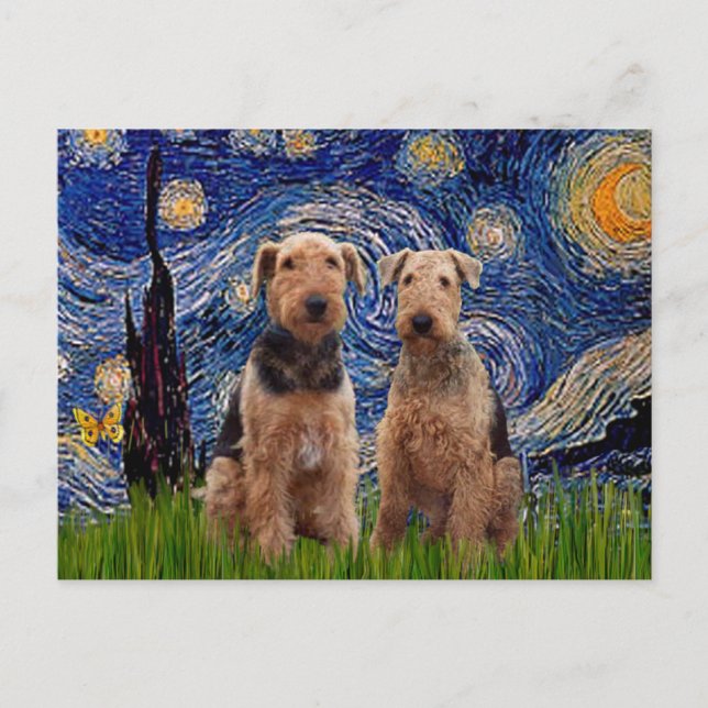 Cartão Postal Noite Estrelada - Airedale Terriers (dois) (Frente)