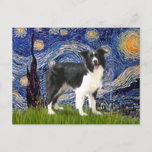 Cartão Postal Noite Estrelada - Border Collie (Z)