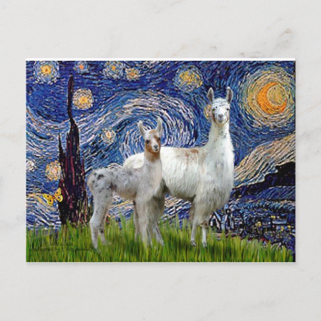 Cartão Postal Noite Estrelada com Duas Lhamas (Frente)