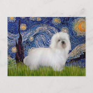 Cartão Postal Noite Estrelada - Coton de Tulear 5