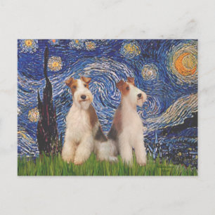 Cartão Postal Noite Estrelada - Dois Fox Terriers de Arame