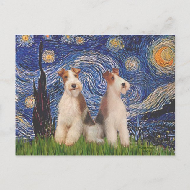 Cartão Postal Noite Estrelada - Dois Fox Terriers de Arame (Frente)