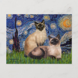 Cartão Postal Noite Estrelada - Dois gatos siameses (Choc Pt)