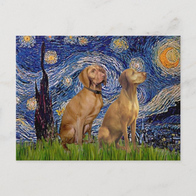 Cartão Postal Noite Estrelada - Dois Vizslas (Frente)
