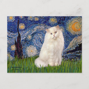 Cartão Postal Noite Estrelada - Gato Persa Branco
