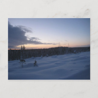 Cartão Postal Noite polar