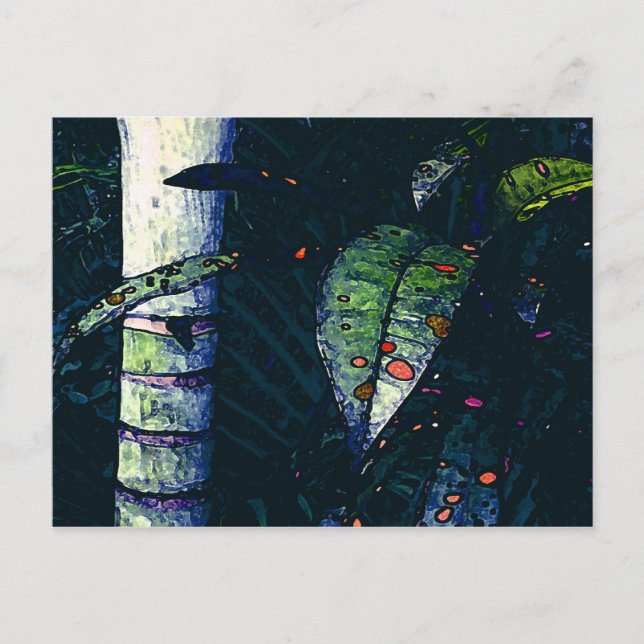 Cartão Postal Noite tropical (Frente)