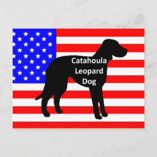 Cartão Postal nome da silhueta catahoula na bandeira usa