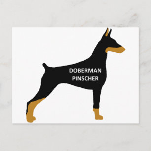 Cartão Postal nome doberman pinscher cor silo preto