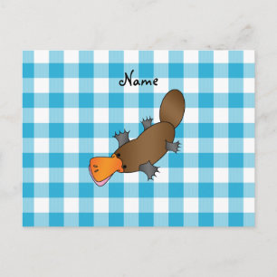 Cartão Postal Nome personalizado damascos azuis do platypus