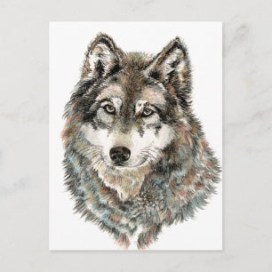 Cartão Postal Nome Personalizado ou Lobo de Textura em Aquarela 
