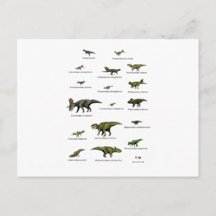 Cartão Postal Nomes dos dinossauros