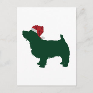 Cartão Postal Norfolk Terrier