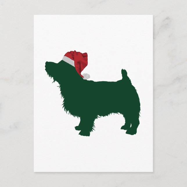 Cartão Postal Norfolk Terrier (Frente)
