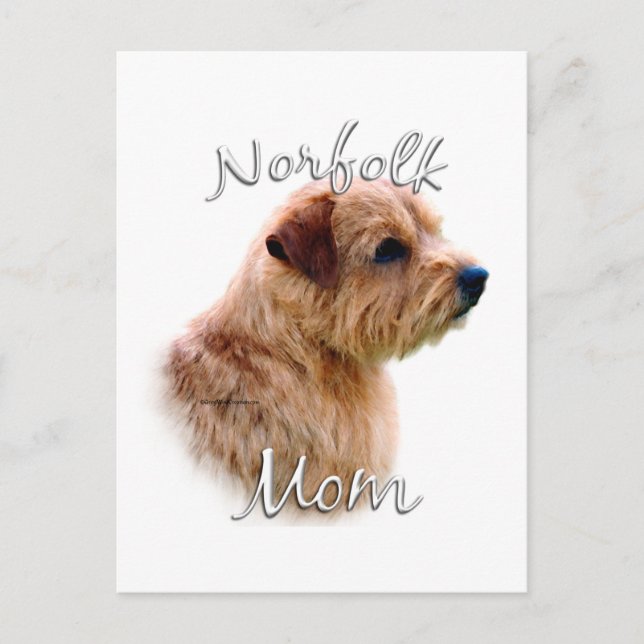 Cartão Postal Norfolk Terrier Mãe 2 (Frente)
