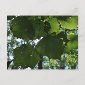 Cartão postal normal