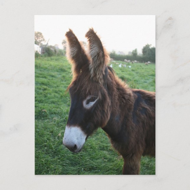 Cartão Postal Normandia 2009 (Frente)