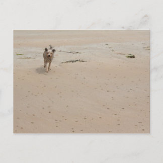 Cartão Postal Normandy 2009 (1)