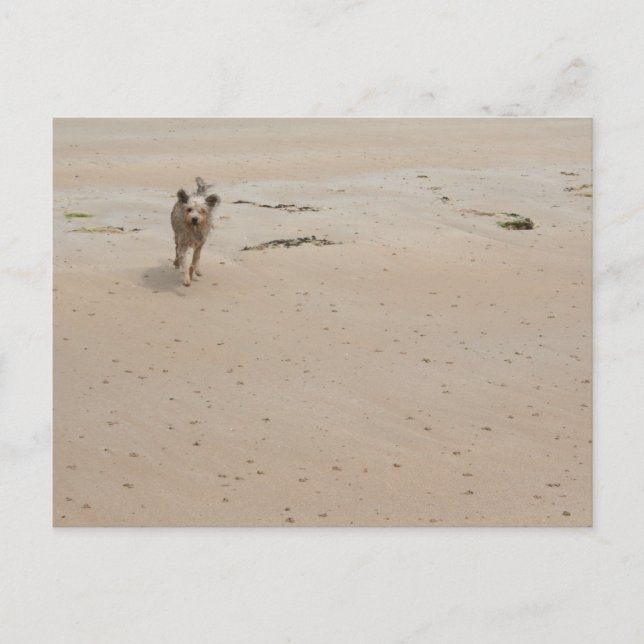 Cartão Postal Normandy 2009 (1) (Frente)