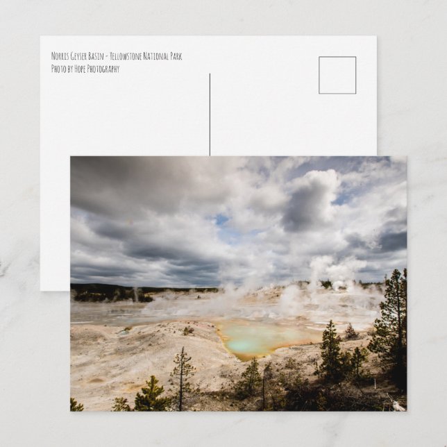 Cartão Postal Norris Geyser Basin Yellowstone (Frente/Verso)