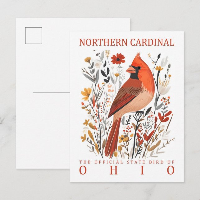 Cartão Postal Norte Cardinal Bird de Ohio EUA (Frente/Verso)