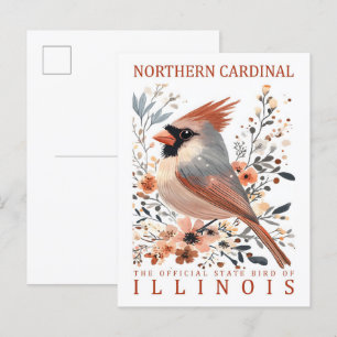 Cartão Postal Norte Cardinal Viagem de Illinois EUA
