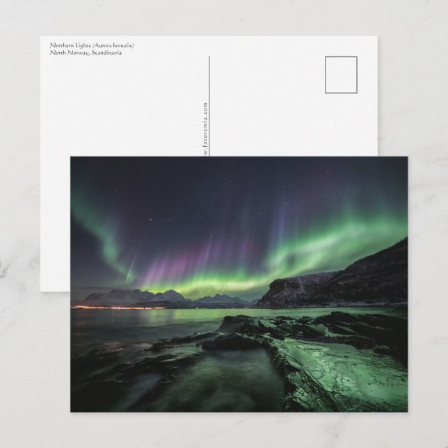 Cartão Postal Norte Lights Noruega (Frente/Verso)