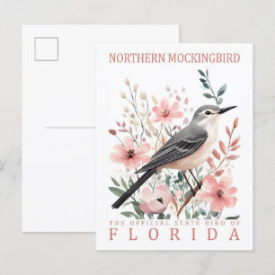Cartão Postal Norte Mockingbird Bird da Flórida EUA Viagem