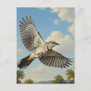Cartão Postal Norte Mockingbird em voo