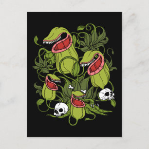 Cartão Postal Norte Pitcher Sarracenia Plantas Carnívoras