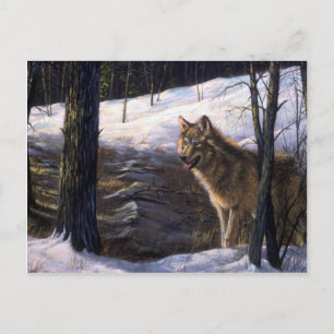 Cartão Postal Norte Timber Wolf