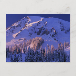 Cartão Postal North America, USA, Washington, Mt. Rainier 5