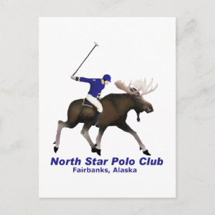 Cartão Postal North Star Polo Club