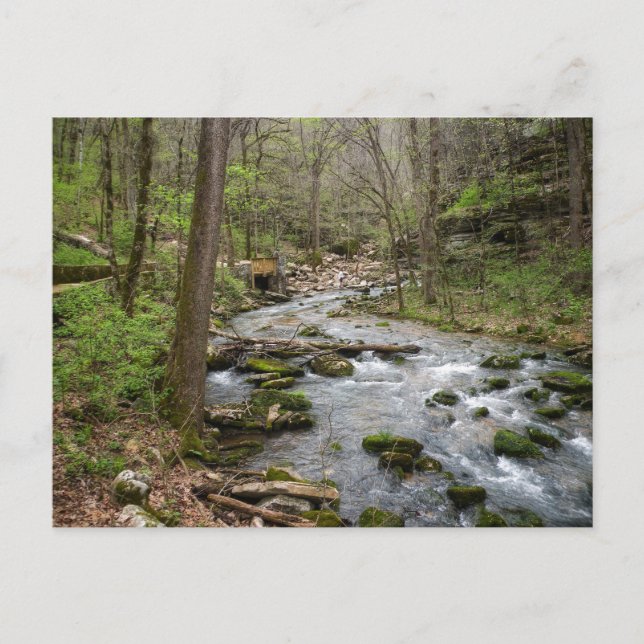 Cartão Postal North Sylamore Creek (Frente)