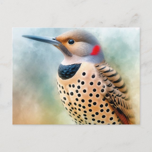 Cartão Postal Northern Flicker Bird Art (Frente)