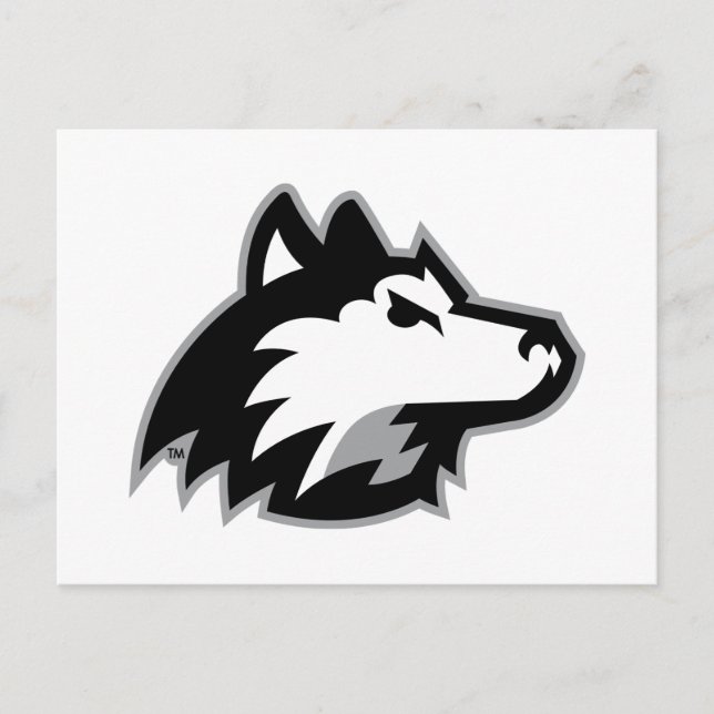 Cartão Postal Northern Illinois Huskies (Frente)