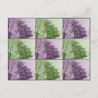 Cartão Postal northgate nove