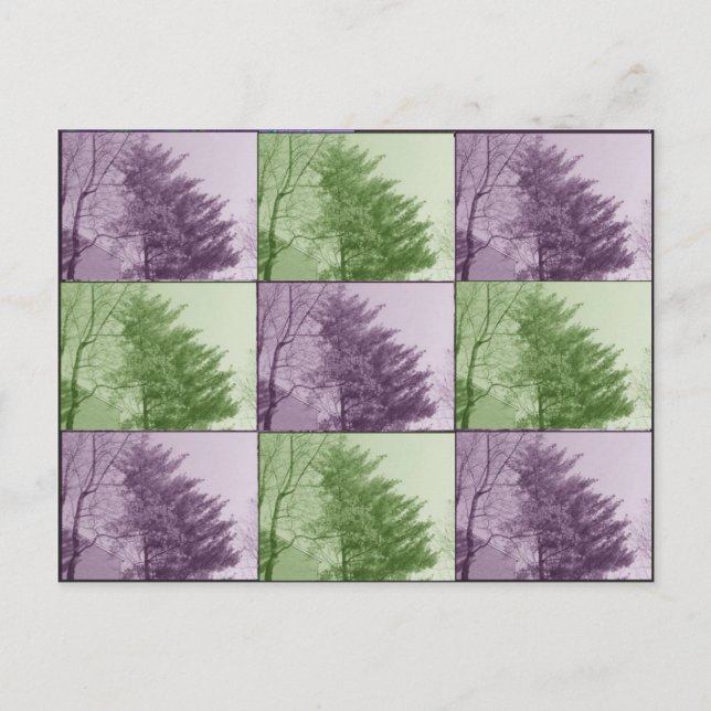 Cartão Postal northgate nove (Frente)