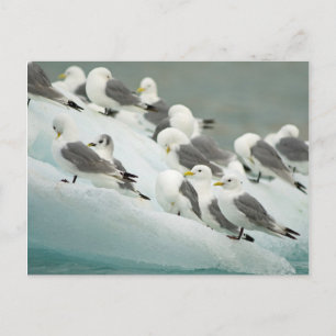 Cartão Postal Noruega, Arquipélago de Svalbard, Spitsbergen