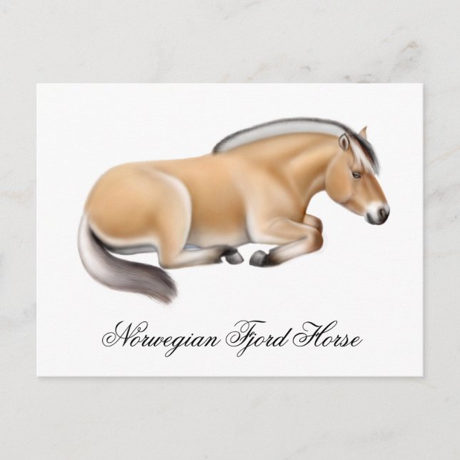 Cartão postal norueguês para o fioro (Frente)