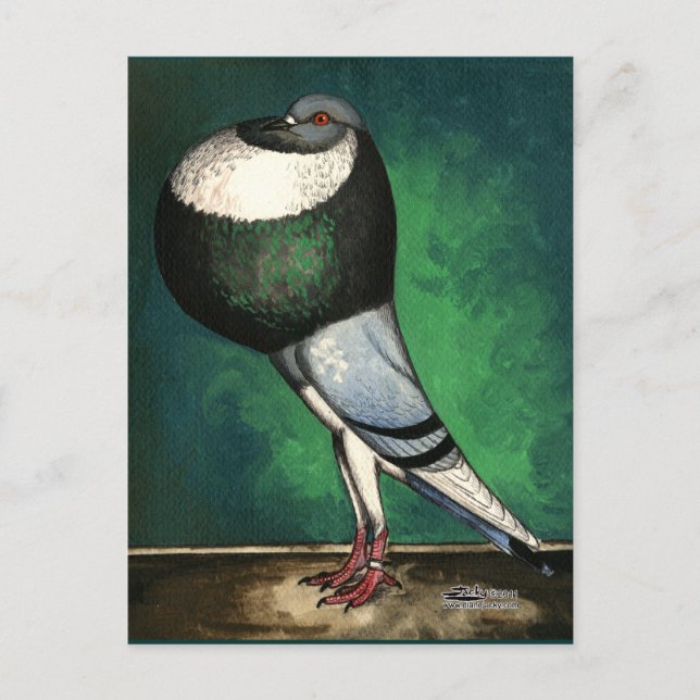 Cartão Postal Norwich Cropper Azul Manchado (Frente)