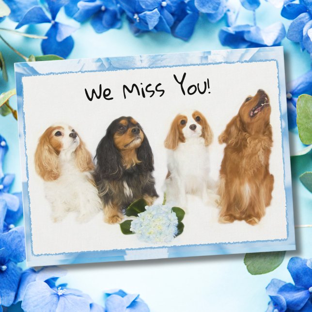 Cartão Postal Nós Sentimos Sua Falta! 4 Cavalier King Charles Ca (Criador carregado)