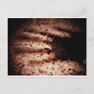 Cartão Postal Nosferatu