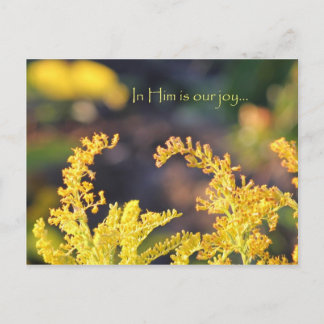 Cartão Postal Nossa alegria