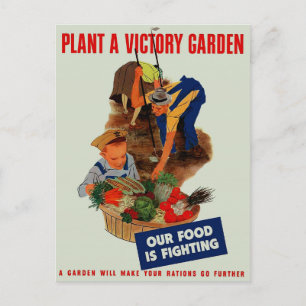 Cartão Postal Nossa Comida está lutando