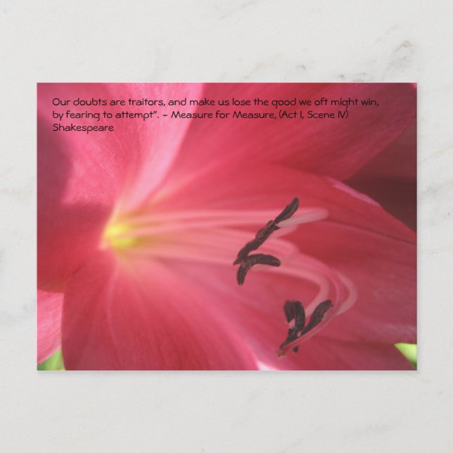 Cartão Postal Nossas dúvidas são traidoras, e nos fazem ... (Frente)