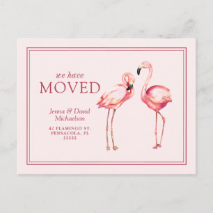 Cartão Postal Nosso Novo Endereço Flamingos Bonito Rosa