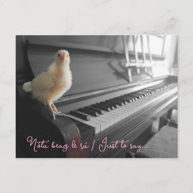 Cartão postal Nóta beag le rá (Frente)